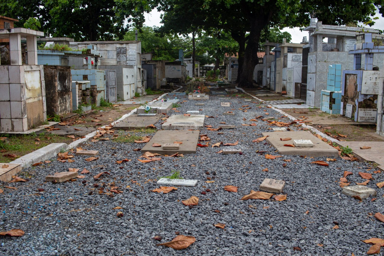 @orlandocostaportfolio Cemiterios 42 scaled - Sem vagas, cemitérios de Maceió enterram 80% dos mortos em cova rasa 