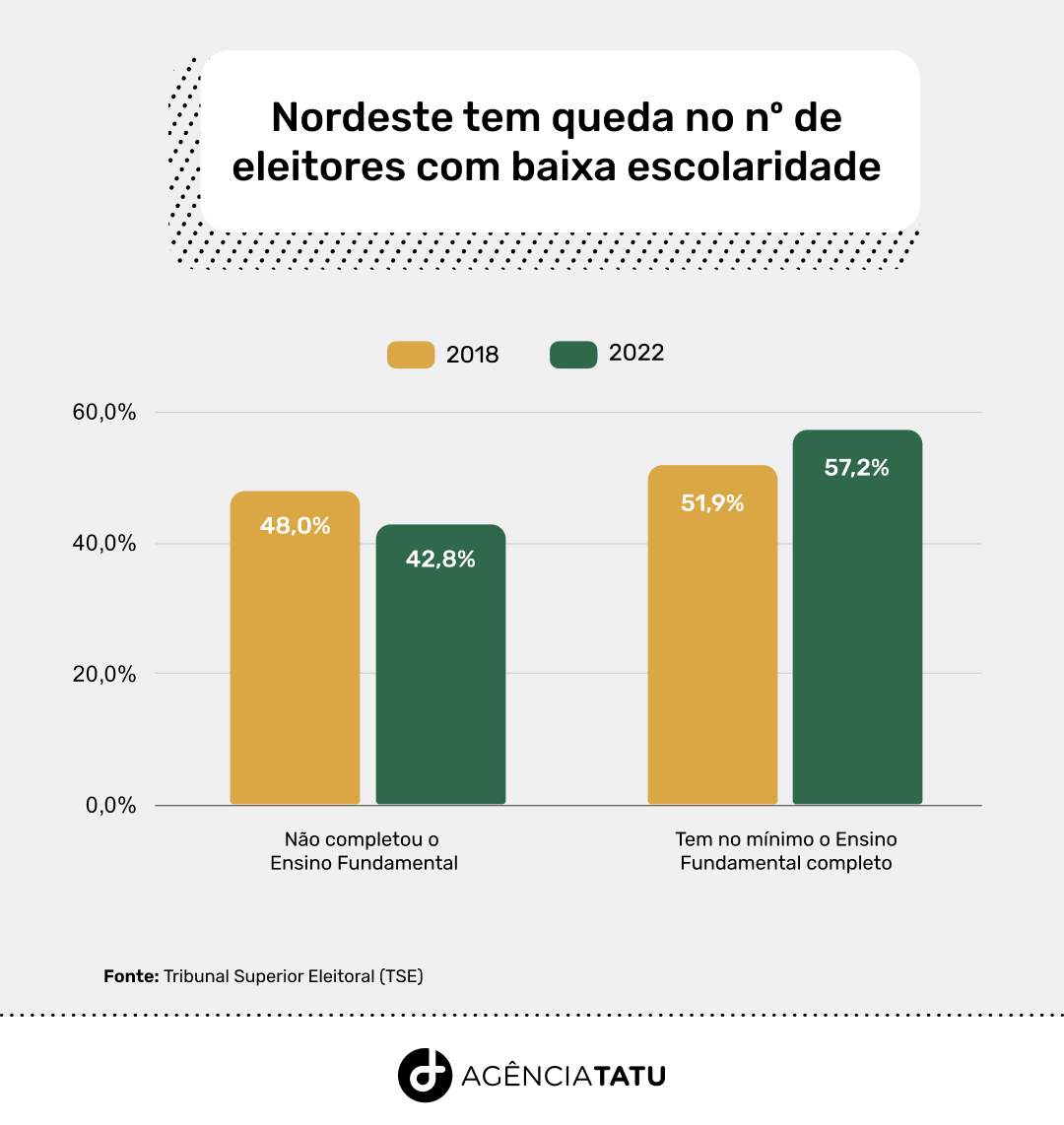 Grafico Capa Eleitores Nordeste 2022 Agencia Tatu - Eleitores do Nordeste estão mais alfabetizados em 2022
