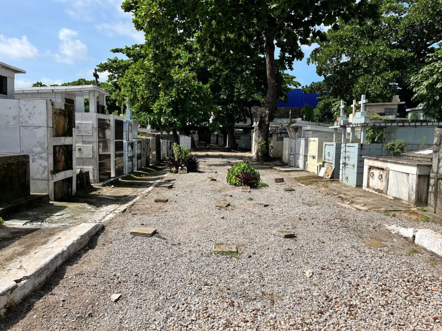 Imagem de covas rasas no cemitério público de maceió, São José.