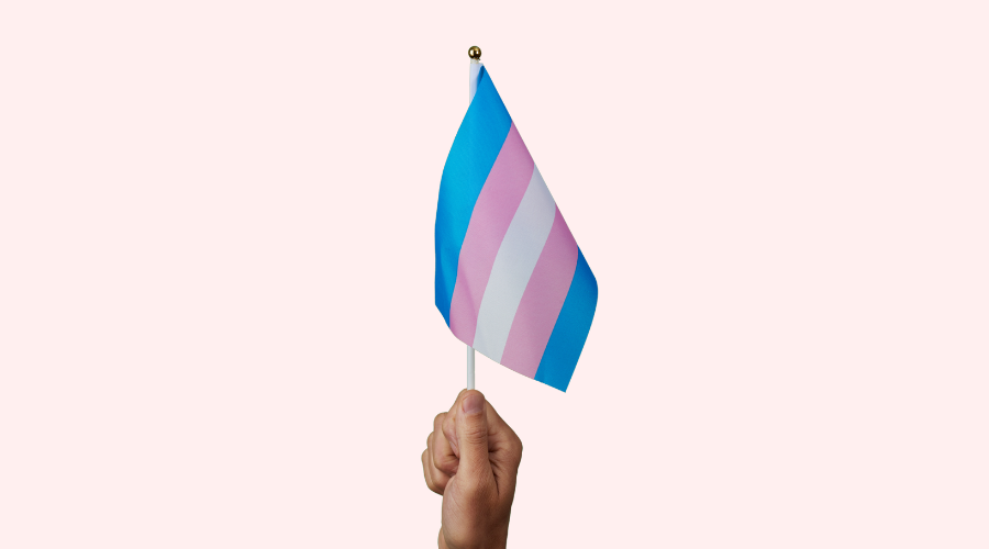 Ilustração com fundo rosa bebê e uma mão segurando a bandeira da visibilidade trans.