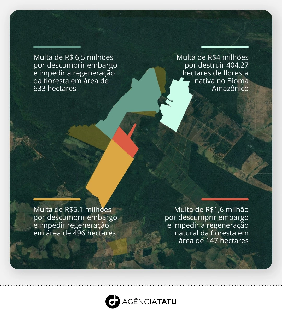 detalhe embargos romerinho - Presidente da Câmara de Recife, Romerinho Jatobá tem R$ 17 milhões de multas em área protegida da Amazônia