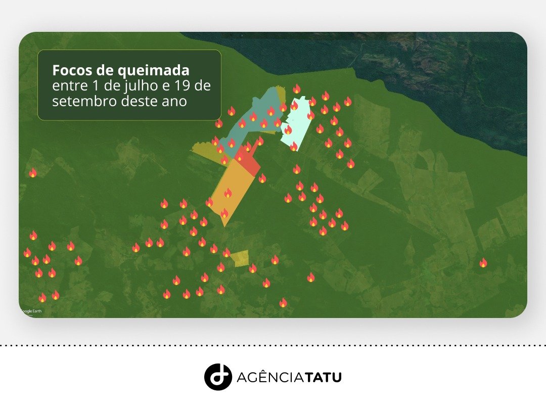 fogo amazonia romerinho - Presidente da Câmara de Recife, Romerinho Jatobá tem R$ 17 milhões de multas em área protegida da Amazônia