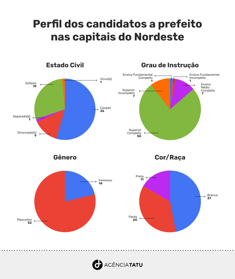 quatro graficos em pizza que mostram o perfil dos candidatos a prefeito nas capitais do Nordeste