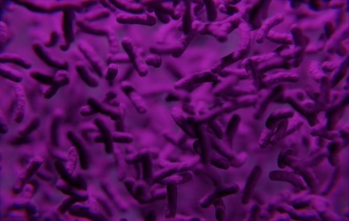 purple bacterium - Janeiro roxo: novos casos de hanseníase caem em Alagoas
